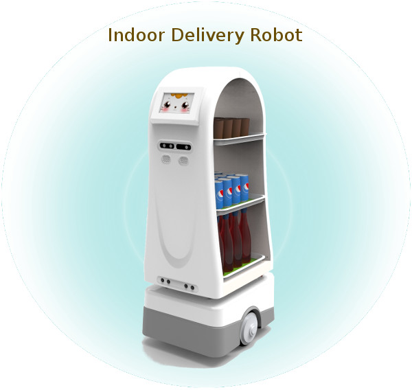 Indoor delivery robot