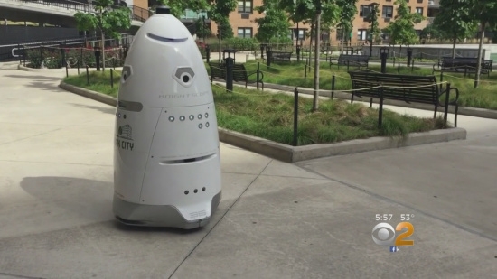 在纽约街头巡逻的机器人--“路西”